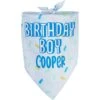 Frisco Birthday Boy Personalized Dog & Cat Bandana -Cat Dog Supply Store 238329 MAIN. AC SS1800 V1597896415