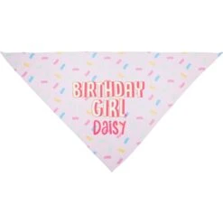 Frisco Birthday Girl Personalized Dog & Cat Bandana -Cat Dog Supply Store 238333 PT3. AC SS1800 V1618509734