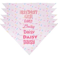Frisco Birthday Girl Personalized Dog & Cat Bandana -Cat Dog Supply Store 238333 PT4. AC SS1800 V1618507367