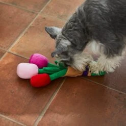 Frisco Valentine Rose Bouquet Plush Squeaky Dog Toy -Cat Dog Supply Store 241733 PT6. AC SS1800 V1607990908