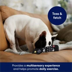 Frisco Zoomies & Chill Remote Latex Squeaky Dog Toy -Cat Dog Supply Store 241753 PT6. AC SS1800 V1686580150