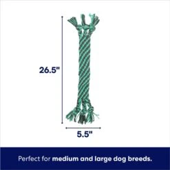 Frisco Flat Teal & Gray Braided Rope Squeaky Fetch Dog Toy -Cat Dog Supply Store 242127 PT1. AC SS1800 V1695748353
