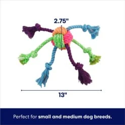Frisco Fetch Colorful Ball Knot Rope Dog Toy -Cat Dog Supply Store 242159 PT1. AC SS1800 V1695748416