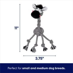 Frisco Zebra Rope Squeaky Dog Toy -Cat Dog Supply Store 242163 PT1. AC SS1800 V1695084258