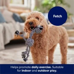 Frisco Zebra Rope Squeaky Dog Toy -Cat Dog Supply Store 242163 PT3. AC SS1800 V1691785245