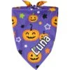 Frisco Halloween Pumpkins Personalized Dog & Cat Bandana -Cat Dog Supply Store 242815 MAIN. AC SS1800 V1701983007