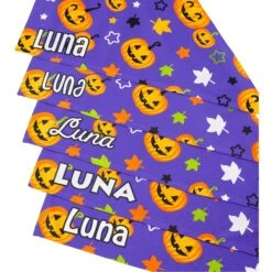 Frisco Halloween Pumpkins Personalized Dog & Cat Bandana -Cat Dog Supply Store 242815 PT4. AC SS1800 V1618511516