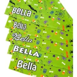 Frisco Halloween Boo! Personalized Dog & Cat Bandana -Cat Dog Supply Store 244583 PT4. AC SS1800 V1618508254