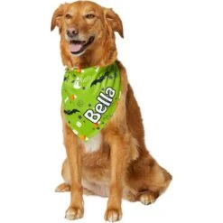 Frisco Halloween Boo! Personalized Dog & Cat Bandana -Cat Dog Supply Store 244583 PT6. AC SS1800 V1618510307