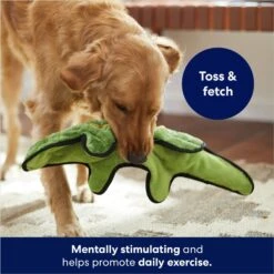 Frisco Alligator Stuffing-Free Flat Plush Squeaky Dog Toy -Cat Dog Supply Store 245943 PT2. AC SS1800 V1678723898