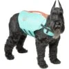 Frisco Active Dog Life Jacket -Cat Dog Supply Store 247894 MAIN. AC SS1800 V1613407958