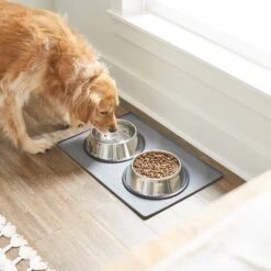 Frisco Silicone Dog & Cat Food Mat -Cat Dog Supply Store 253040 PT2. AC SS1800 V1616522564