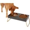 Frisco Copper Stainless Steel Elevated Foldable Double Dog & Cat Bowls -Cat Dog Supply Store 253060 MAIN. AC SS1800 V1616073913
