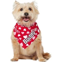 Frisco XOXO Hearts Personalized Dog & Cat Bandana -Cat Dog Supply Store 254203 PT6. AC SS1800 V1632427913