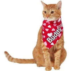 Frisco XOXO Hearts Personalized Dog & Cat Bandana -Cat Dog Supply Store 254203 PT7. AC SS1800 V1632417974