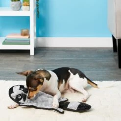 Frisco Alligator Stuffing-Free Flat Plush Squeaky Dog Toy & Frisco Raccoon Stuffing-Free Flat Plush Squeaky Dog Toy -Cat Dog Supply Store 255471 PT4. AC SS1800 V1602691287