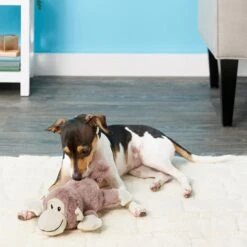 Frisco Monkey Plush Squeaky Dog Toy & Frisco Fox Plush Squeaky Dog Toy -Cat Dog Supply Store 255597 PT2. AC SS1800 V1602702685