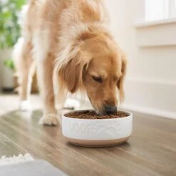 Frisco Paw Prints Non-skid Ceramic Bowl 10 Frisco Paw Prints Non-skid Ceramic Bowl -Cat Dog Supply Store 256072 PT2. AC SS1800 V1615311738
