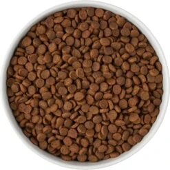 Frisco Paw Prints Non-skid Ceramic Bowl 13 Frisco Paw Prints Non-skid Ceramic Bowl -Cat Dog Supply Store 256072 PT5. AC SS1800 V1615312318