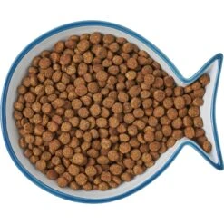 Frisco Fish Shaped Non-skid Ceramic Cat Dish -Cat Dog Supply Store 256109 PT6. AC SS1800 V1617196895