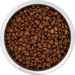 Frisco Black Iron Non-Skid Stainless Steel Dog & Cat Bowl -Cat Dog Supply Store 257152 PT4. AC SS1800 V1615311427