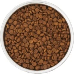 Frisco Insulated Two-Toned Non-Skid Stainless Steel Dog & Cat Bowl 13 Frisco Insulated Two-Toned Non-Skid Stainless Steel Dog & Cat Bowl -Cat Dog Supply Store 257168 PT4. AC SS1800 V1612367255