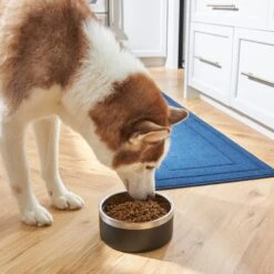 Frisco Insulated Two-Toned Non-Skid Stainless Steel Dog & Cat Bowl 15 Frisco Insulated Two-Toned Non-Skid Stainless Steel Dog & Cat Bowl -Cat Dog Supply Store 257168 PT8. AC SS1800 V1615840126