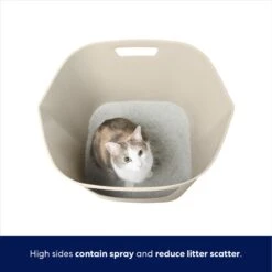 Frisco Leaf High-Sided Cat Litter Box, Large -Cat Dog Supply Store 258782 PT2. AC SS1800 V1675279643
