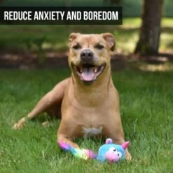 Hyper Pet Doggie Pal Unicorn Squeaky Interactive Plush Dog Toy -Cat Dog Supply Store 258938 PT1. AC SS1800 V1605883314