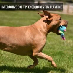 Hyper Pet Doggie Pal Unicorn Squeaky Interactive Plush Dog Toy -Cat Dog Supply Store 258938 PT3. AC SS1800 V1605914537