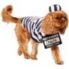 Frisco Prisoner Dog & Cat Costume 1 Frisco Prisoner Dog & Cat Costume -Cat Dog Supply Store 260933 MAIN. AC SS1800 V1624400089