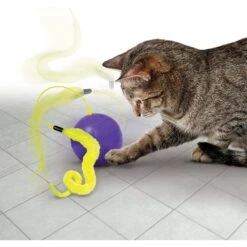KONG Purrsuit Whirlwind Replacement Tails Cat Toy, 2 Count -Cat Dog Supply Store 261253 PT2. AC SS1800 V1631773890