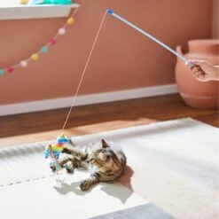 Frisco Pinata Teaser Wand Cat Toy With Catnip -Cat Dog Supply Store 264446 PT3. AC SS1800 V1618948636