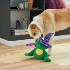Frisco Magic Wizard Frog Plush Squeaky Dog Toy -Cat Dog Supply Store 265588 PT3. AC SS1800 V1620939075