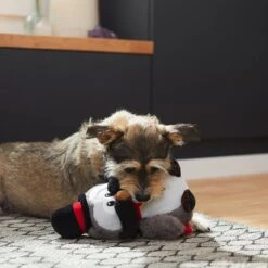 Frisco Magic Owl Plush Squeaky Dog Toy -Cat Dog Supply Store 265596 PT3. AC SS1800 V1623352167