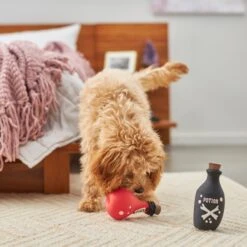 Frisco Magic Potions Latex Squeaky Dog Toy, 2 Count -Cat Dog Supply Store 265632 PT3. AC SS1800 V1620939021