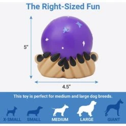 Frisco Magic Fortune Teller's Crystal Ball Latex Squeaky Dog Toy 6 Frisco Magic Fortune Teller's Crystal Ball Latex Squeaky Dog Toy -Cat Dog Supply Store 265634 PT1. AC SS1800 V1623351758