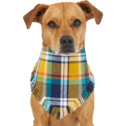 Frisco Blue/Yellow Plaid Dog & Cat Flannel Bandana -Cat Dog Supply Store 267901 PT2. AC SS1800 V1637717796