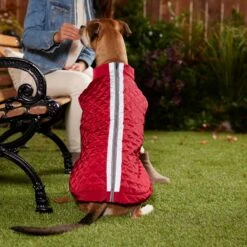 Frisco Mediumweight Reflective 2-in-1 Dog & Cat Fleece Coat 13 Frisco Mediumweight Reflective 2-in-1 Dog & Cat Fleece Coat -Cat Dog Supply Store 268359 PT8. AC SS1800 V1629759326