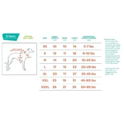 Frisco Mediumweight Colorblock Adventure Insulated Dog & Cat Parka -Cat Dog Supply Store 268421 PT1. AC SS1800 V1628641019