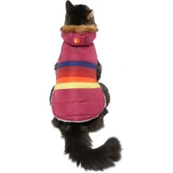 Frisco Mediumweight Colorblock Adventure Insulated Dog & Cat Parka -Cat Dog Supply Store 268421 PT2. AC SS1800 V1628779779