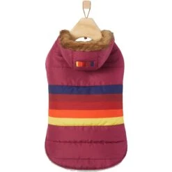 Frisco Mediumweight Colorblock Adventure Insulated Dog & Cat Parka -Cat Dog Supply Store 268421 PT4. AC SS1800 V1628779593