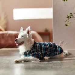 Frisco Multi-Plaid Dog & Cat Flannel Shirt -Cat Dog Supply Store 268588 PT8. AC SS1800 V1629755804