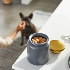 Frisco Modern Gold Rim Ceramic Treat Jar -Cat Dog Supply Store 270190 PT2. AC SS1800 V1620762371