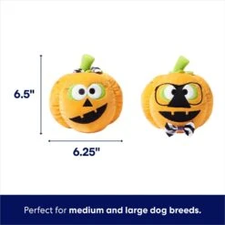 Frisco Halloween Nerdy Jack-o-Lanterns Plush Squeaky Dog Toy -Cat Dog Supply Store 270431 PT1. AC SS1800 V1689873074