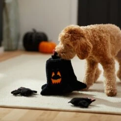 Frisco Halloween Haunted Tree Hide & Seek Puzzle Plush Squeaky Dog Toy 11 Frisco Halloween Haunted Tree Hide & Seek Puzzle Plush Squeaky Dog Toy -Cat Dog Supply Store 270488 PT3. AC SS1800 V1624817078