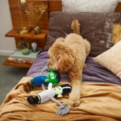 Frisco Halloween Frankenstein & Bride Plush With Rope Squeaky Dog Toy -Cat Dog Supply Store 270496 PT3. AC SS1800 V1624824775