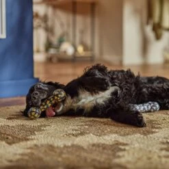 Frisco Halloween Candy Corn & Ghosts TPR Bone Squeaky Dog Toy, 2 Count 9 Frisco Halloween Candy Corn & Ghosts TPR Bone Squeaky Dog Toy, 2 Count -Cat Dog Supply Store 270529 PT3. AC SS1800 V1689876508