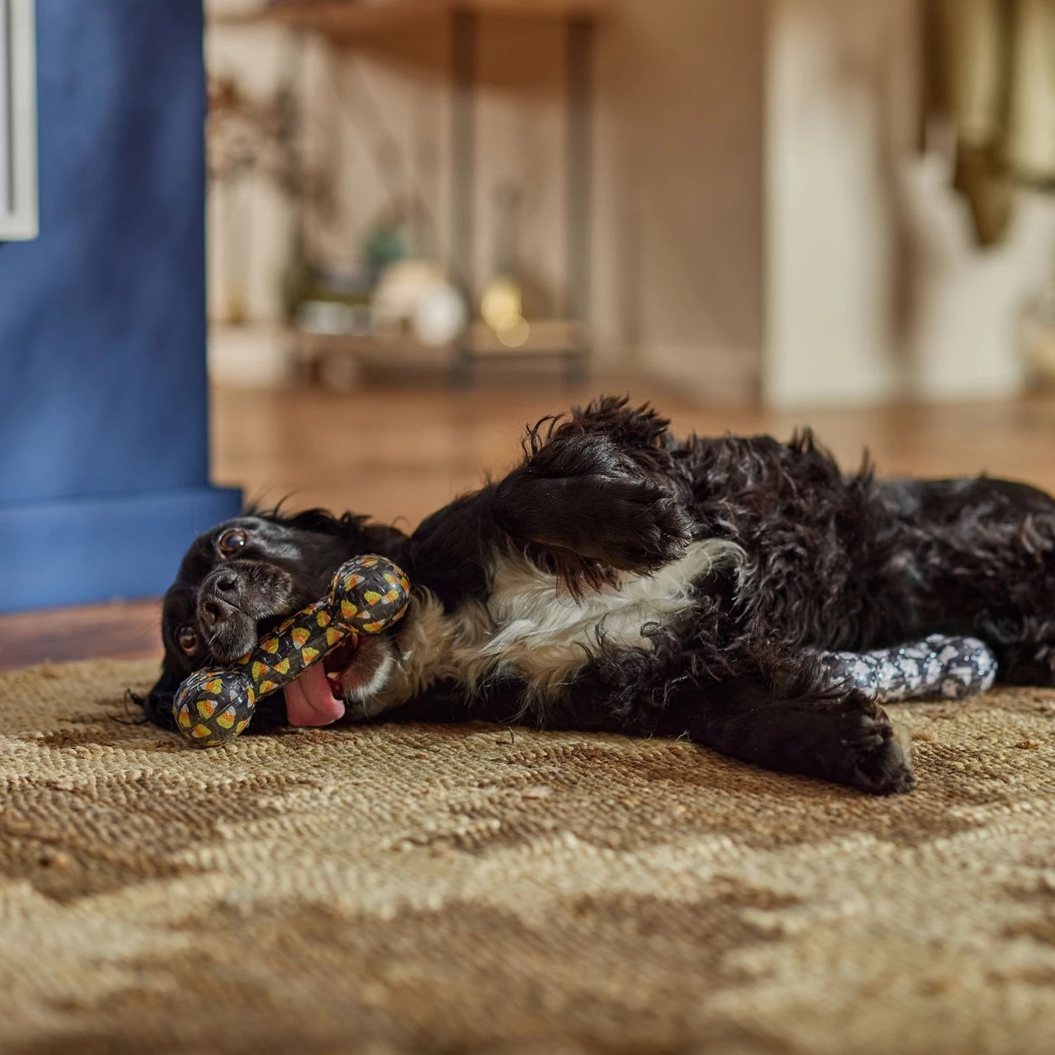Frisco Halloween Candy Corn & Ghosts TPR Bone Squeaky Dog Toy, 2 Count 5 Frisco Halloween Candy Corn & Ghosts TPR Bone Squeaky Dog Toy, 2 Count - Image 3