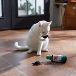 Frisco Camping Bug Spray Plush Cat Toy With Catnip, 3 Count -Cat Dog Supply Store 270969 PT3. AC SS1800 V1625009346